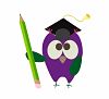graduation owl